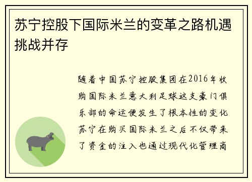 苏宁控股下国际米兰的变革之路机遇挑战并存 苏宁控股下国际米兰的变革之路机遇挑战并存